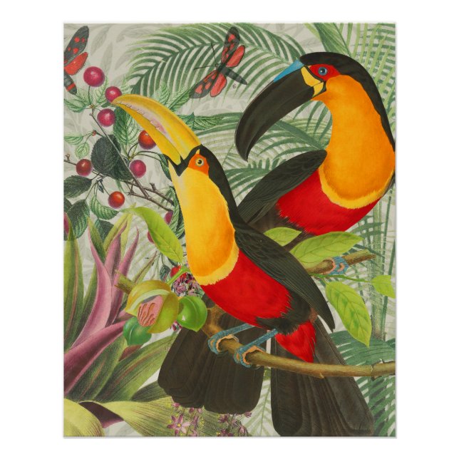 Póster Aves Tropicais Vibrantes Turianos Arte Selva Exóti (Frente)