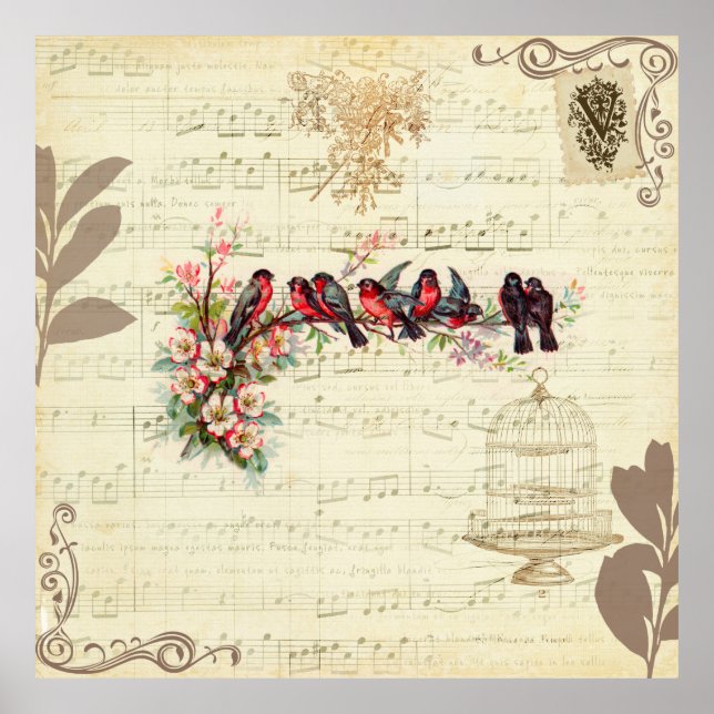 Póster Aves Vintage (Frente)