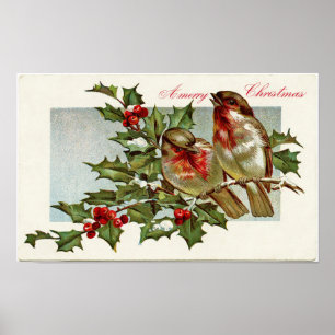 Poster Aves Vintage e Holly