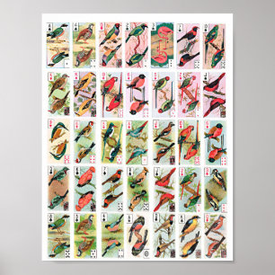 Poster Aves Vintage Jogando Cartões Animais Arte Selvagem