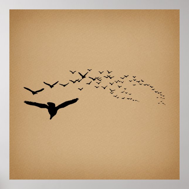 Poster Aves Voadoras Vintage Art (Frente)