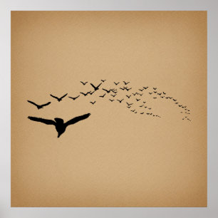 Poster Aves Voadoras Vintage Art