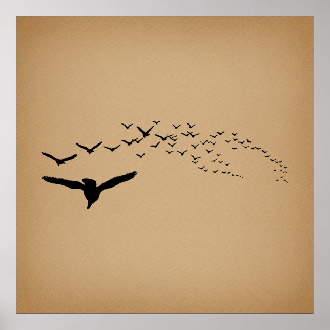 Poster Aves Voadoras Vintage Art (Frente)
