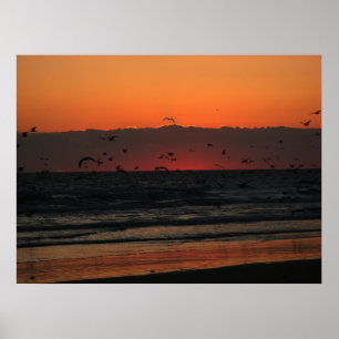 Póster Aves Voando Sobre O Oceano Subida do Sol
