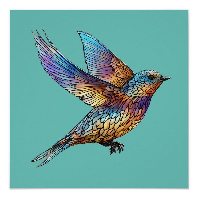 Póster "Aviador Gracioso" Andorinhão Multicolorido (Frente)