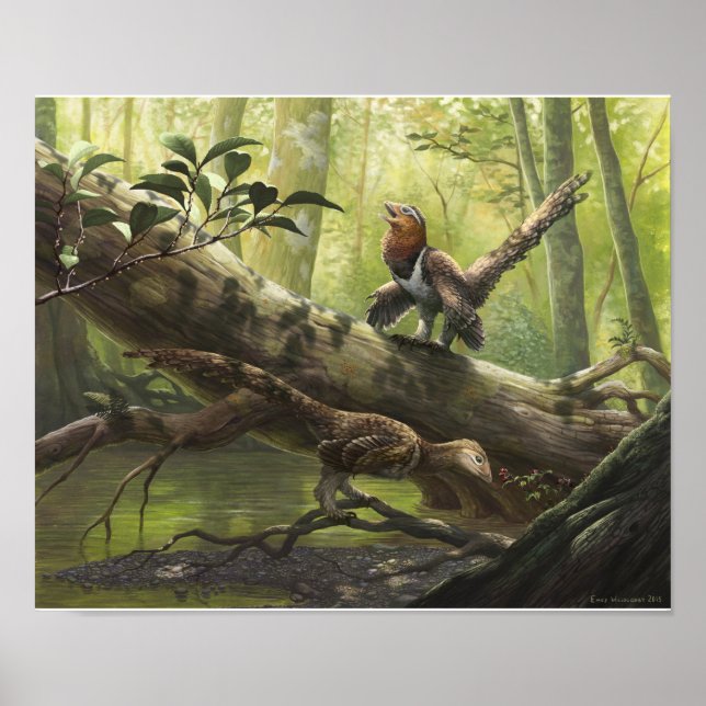 Póster Avian Balaur bondoc (Frente)