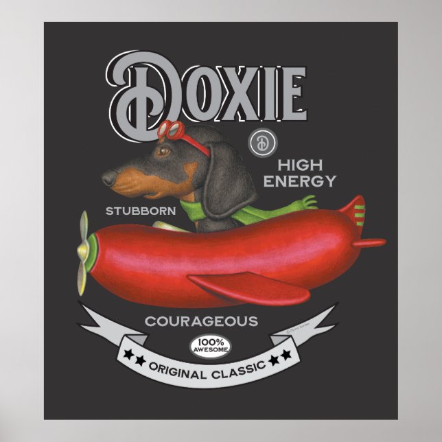 Poster Avião De Cheiro-Chato-De-Chouriço (Frente)