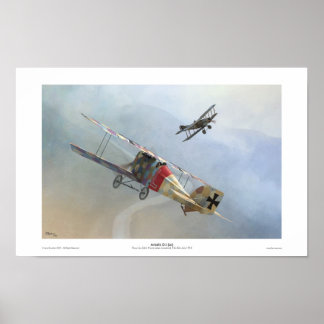 Póster Aviatik D.I