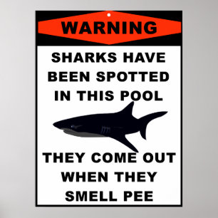 Póster Aviso do tubarão da piscina
