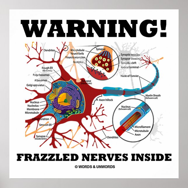 Póster Aviso! Nervos Frazzled Dentro Neuron Synapse (Frente)
