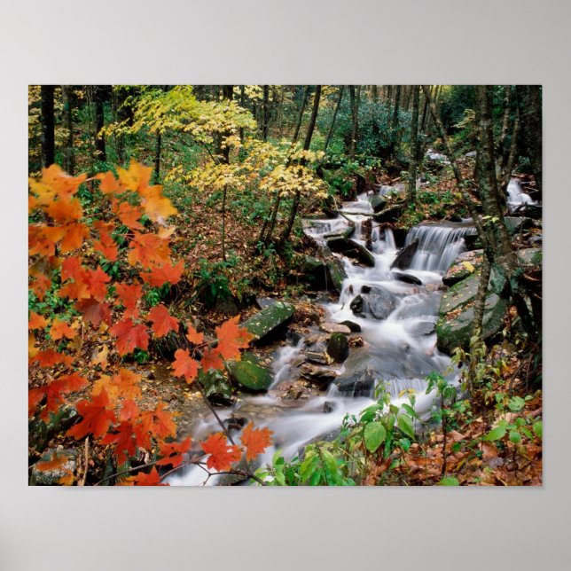 Póster Avô (Frente)