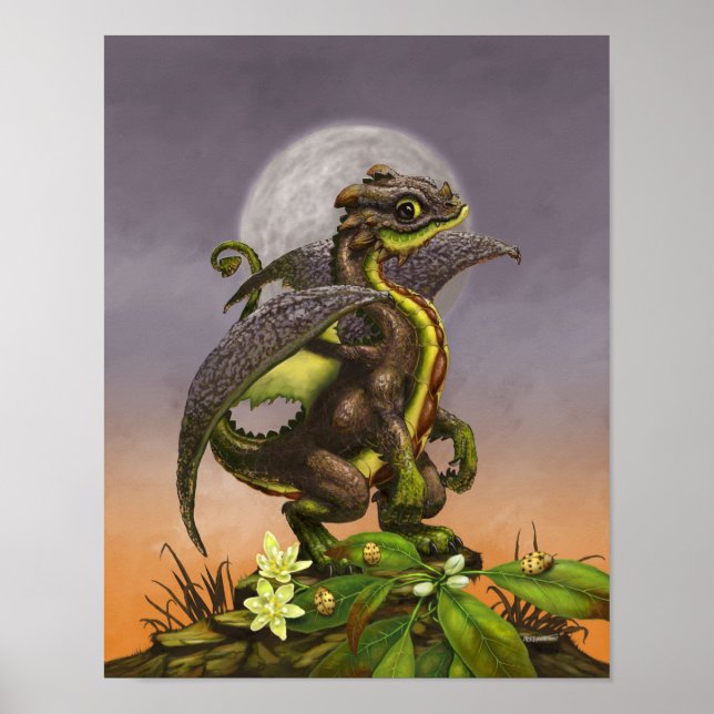 Poster Avocado Dragon 11x14 (4x6 e superior) (Frente)
