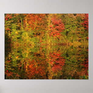 Póster Awesome Autumn Reflections Nature