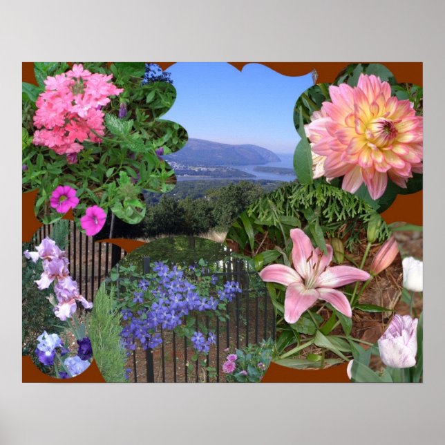 Póster AX- Natureza Colagem de Amplos (Frente)