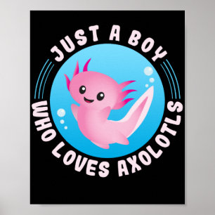 Poster Axolotl Lover Apenas Um Menino Que Ama Axolotls Ka