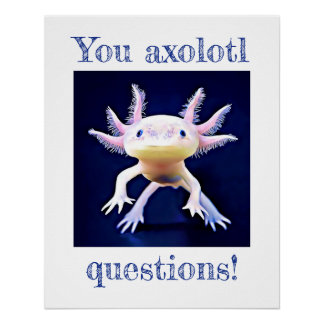 Póster Axolotl Salamander Amphiber Poster
