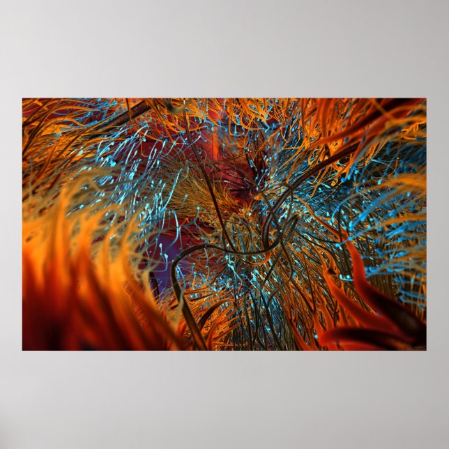 Poster Axonal (Frente)