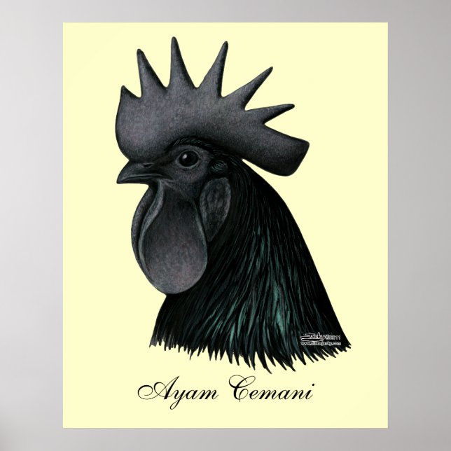 Póster Ayam Cemani Rooster Head (Frente)