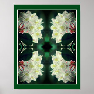 Poster Azalea branca com Abstrato de gotas de chuva
