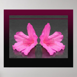 Póster Azalea Mirrored Print -24x20 -other sizes also