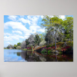 Poster Azaleas em Rice Mill Pond