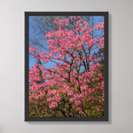Poster Azáleas Rosa Bonitas Floral