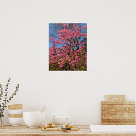 Poster Azáleas Rosa Bonitas Floral