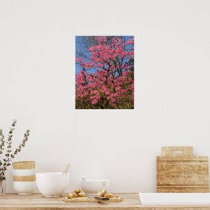 Poster Azáleas Rosa Bonitas Floral