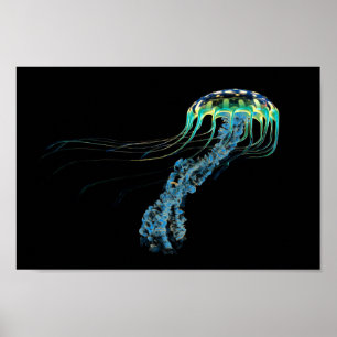 Poster Azeitona