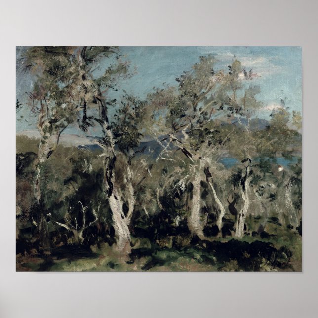 Poster Azeitonas, Corfu, 1912 (Frente)