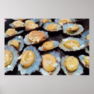 Poster Azores "lapas" limpets