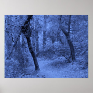 Póster Azuis da floresta