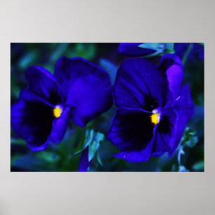 Póster Azul