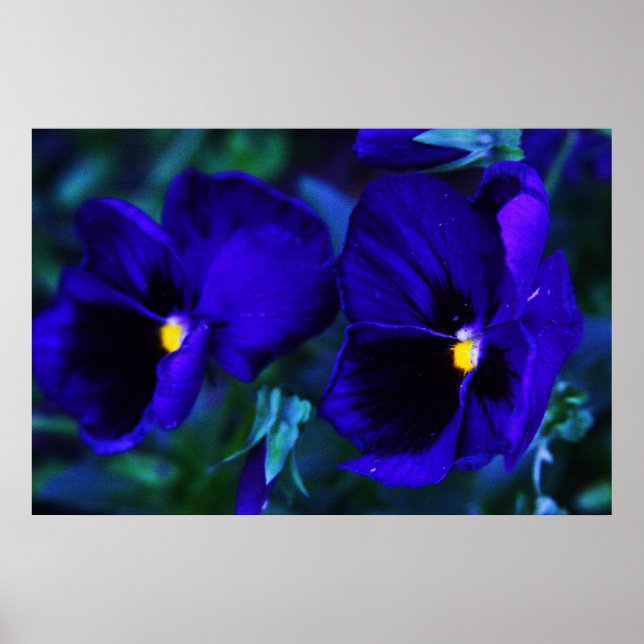 Póster Azul (Frente)