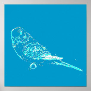Poster azul de Budgie