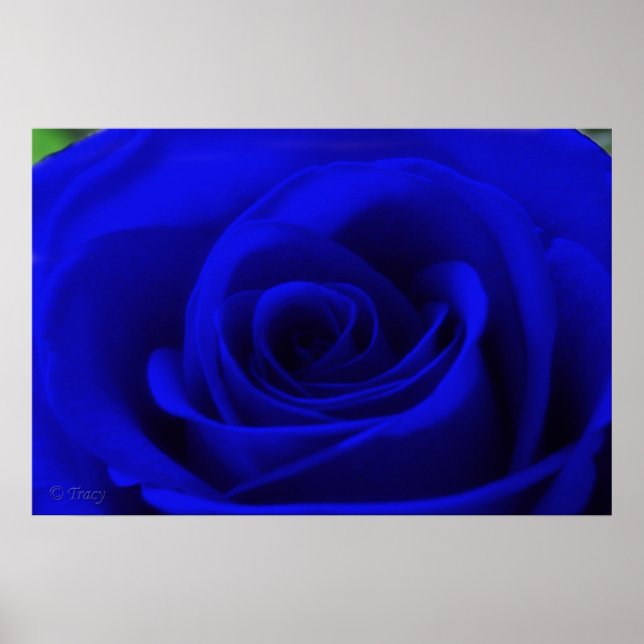 Póster Azul de meia-noite (Frente)