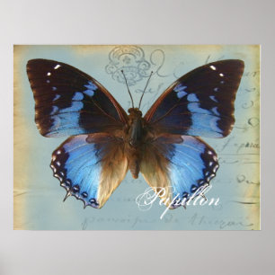 Poster Azul de Papillon