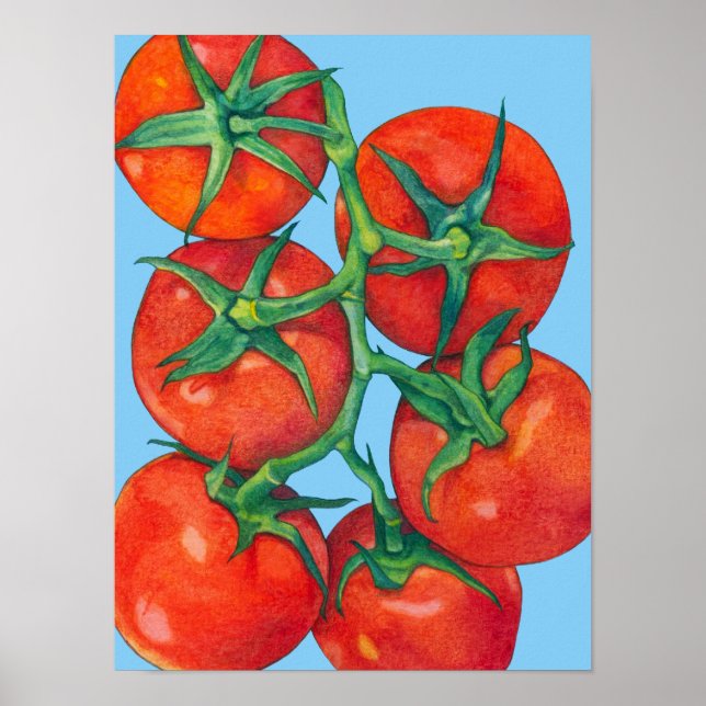 Poster azul de tomate vermelho (Frente)