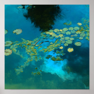 Poster azul do koi