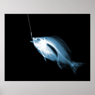 PÓSTER AZUL DO PRETO DOS PEIXES DO GANCHO DO RAIO X