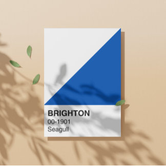 Póster Azul e Branco do Seagull Brighton - Largura do Che