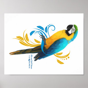 Poster azul e Dourado do Macaw