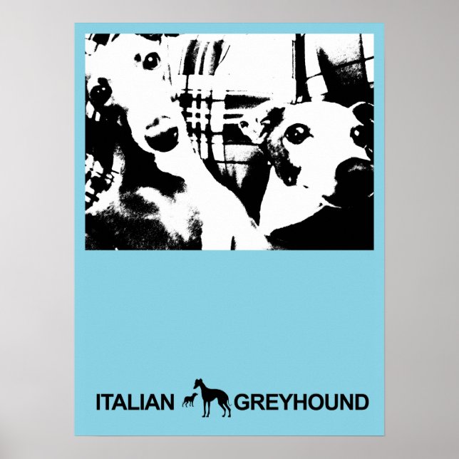 Poster Azul Greyhound Italiano (Frente)