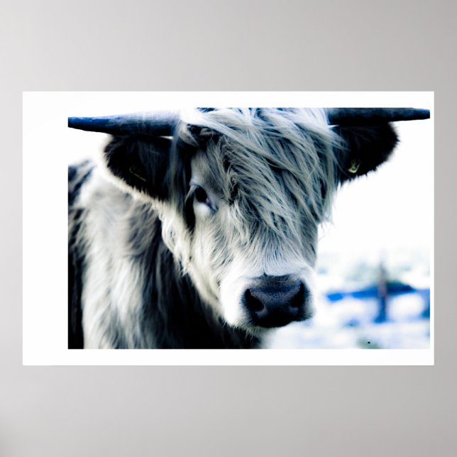 Póster Azul Highland (Frente)