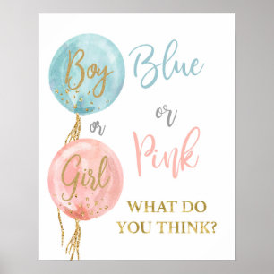 Poster Azul ou rosa o que você acha que o gênero revela