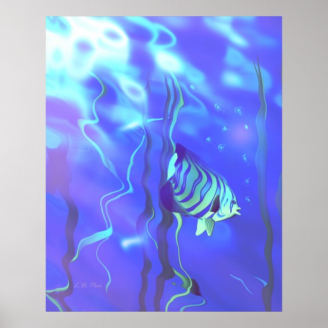 Poster Azul Peixe-Anjo (Frente)