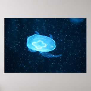 Poster Azul-piscina
