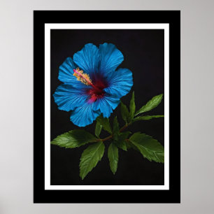 Poster "Azul Radiante: Flor Hibiscus Contra Preto