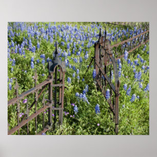 Póster Azulbonetes e flox cercando a porta do cemitério