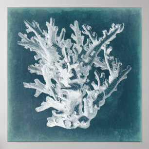 Póster Azure Coral I